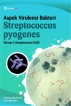 Aspek Virulensi Bakteri Streptokokus Piogenes (Group A Streptococcus/ GAS)